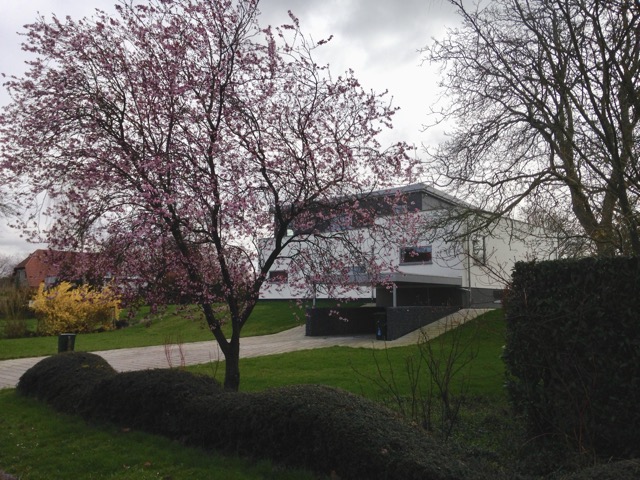 Renovatie woonhuis